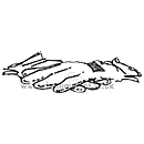 Garden Gloves