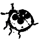 TC Mini Ladybug