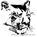 Cougar