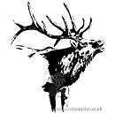 Elk