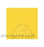 SO: Bazzill 12x12 Grasscloth Texture - Candlelight